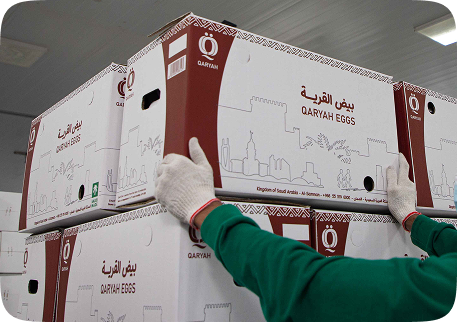 التعبئة والتوزيع